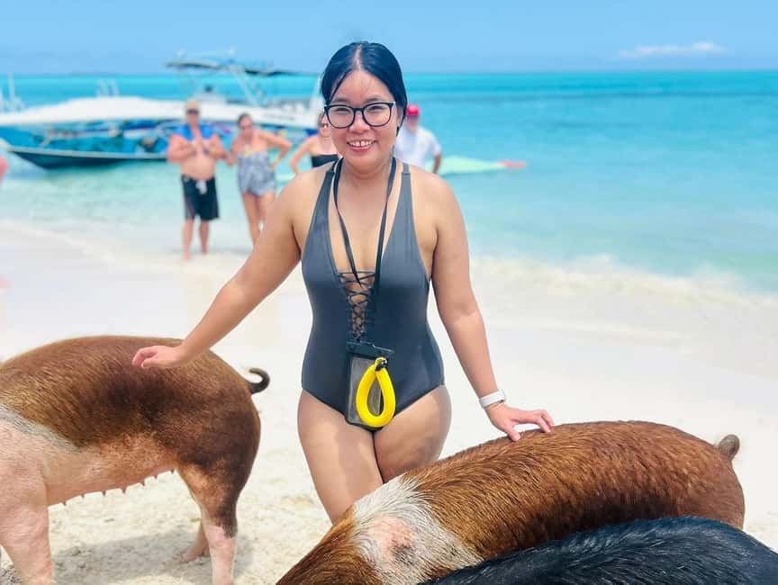 Nassau: Half-Day Swimming Pigs, Reef Snorkel & Beach Club - Turtle watching is brief, not a full turtle swim