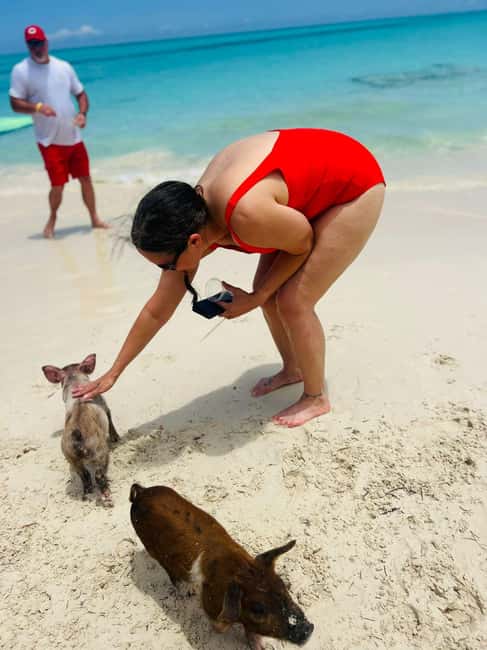 Nassau: Half-Day Swimming Pigs, Reef Snorkel & Beach Club - Rose Island is the relaxed centerpiece