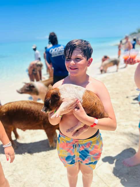 Nassau: Half-Day Swimming Pigs, Reef Snorkel & Beach Club - The swimming pigs need a clear explanation