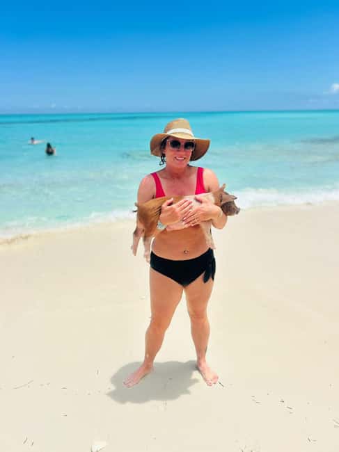Nassau: Half-Day Swimming Pigs, Reef Snorkel & Beach Club - The beach club makes the $189 price easier to weigh