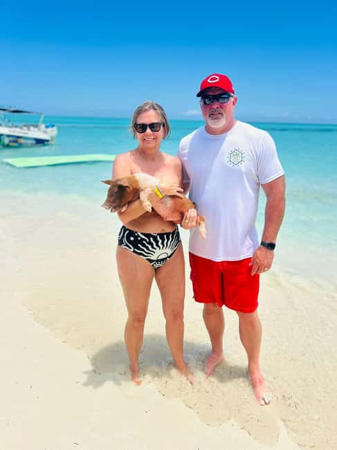 Nassau: Half-Day Swimming Pigs, Reef Snorkel & Beach Club - A good fit for cruise passengers and mixed-age groups
