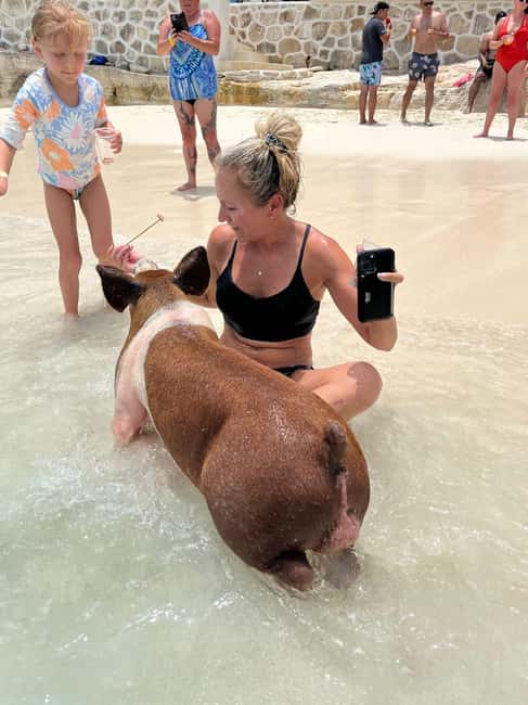 Nassau: Pigs, Snorkel, Turtles, Lunch, Private Beach Club - A fast start from Margaritaville on Paradise Island