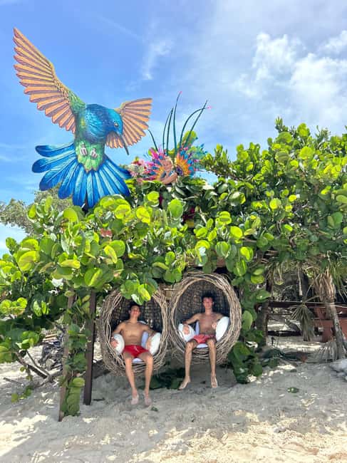 Nassau: Pigs, Snorkel, Turtles, Lunch, Private Beach Club - Rose Island’s Oasis Ocean 7 Beach Club