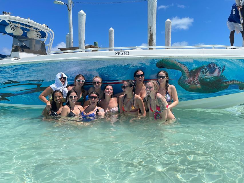 Nassau: Pigs, Snorkel, Turtles, Lunch, Private Beach Club - Feeding pigs in shallow Bahamian water
