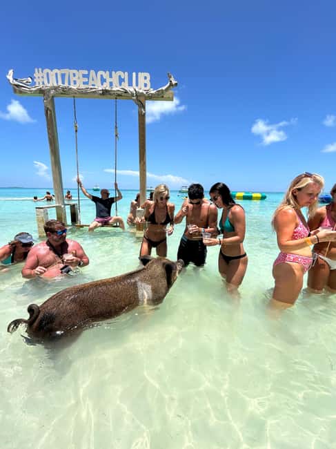 Nassau: Pigs, Snorkel, Turtles, Lunch, Private Beach Club - Reef snorkeling between Pearl Island and Rose Island