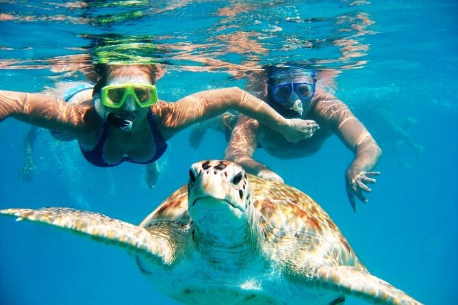Nassau: Private Island & Snorkeling, Turtles, Drinks, & BBQ - Key points to know before booking