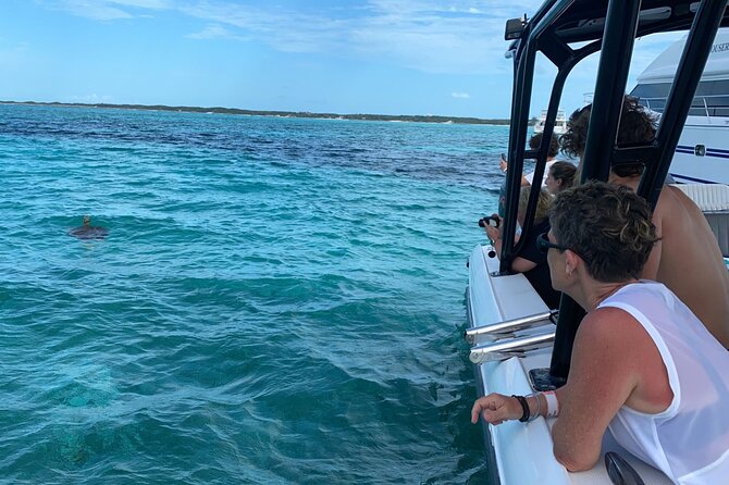 Nassau: Private Island & Snorkeling, Turtles, Drinks, & BBQ - A quick Nassau escape with a lot packed in