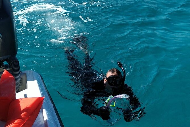 Nassau: Private Island & Snorkeling, Turtles, Drinks, & BBQ - Pearl Island Reef gives you the main snorkeling session