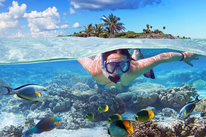 Nassau: Private Island & Snorkeling, Turtles, Drinks, & BBQ - The speedboat ride is part of the attraction