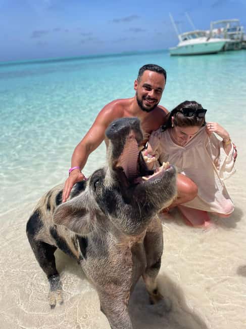 Nassau: Rose 3-Island Tour with Snorkeling and Lunch - Athol Island and the swimming pigs