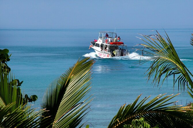 Nassau Shore Excursion: Bahamas Snorkel Adventure - Who Will Enjoy This Nassau Snorkel Trip?