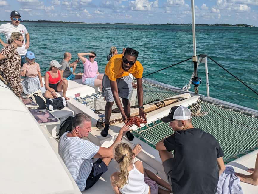 Nassau: Snorkeling, Pig Beach, Swim with Turtles, and Lunch - Key points to know before you book