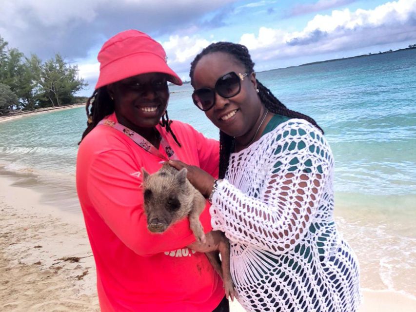 Nassau: Snorkeling, Pig Beach, Swim with Turtles, and Lunch - How the $165 price measures up