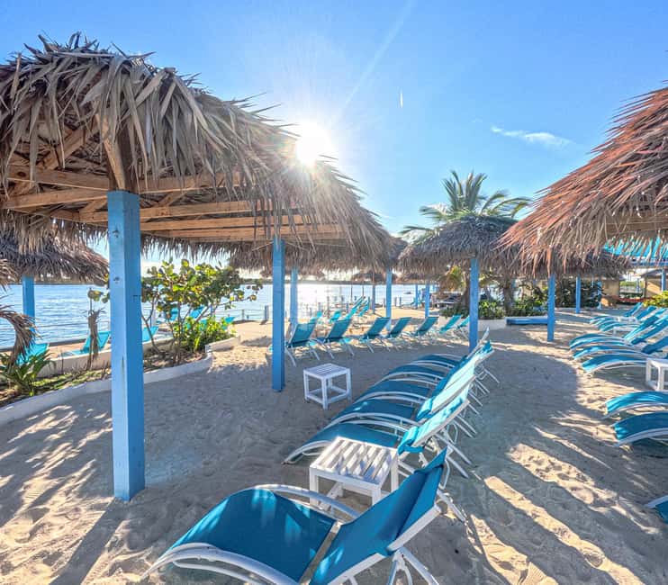 Nassau: Sun Cay Day Trip, Snorkel, Iguana Encounter, & Lunch - Bahamian lunch by the beach