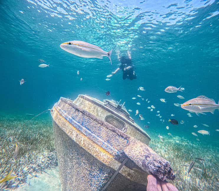 Nassau: Sun Cay Day Trip, Snorkel, Iguana Encounter, & Lunch - Sun Cay, a private island with mixed facilities