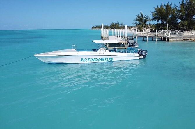 Nassau: Swimming Pigs And Snorkel With Turtles - Is $140 a fair price?