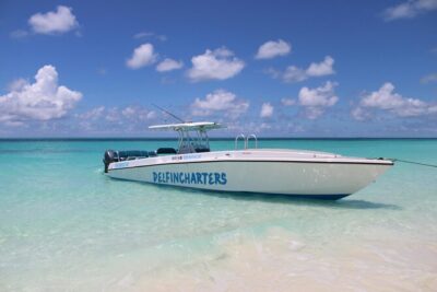 Nassau: Swimming Pigs And Snorkel With Turtles