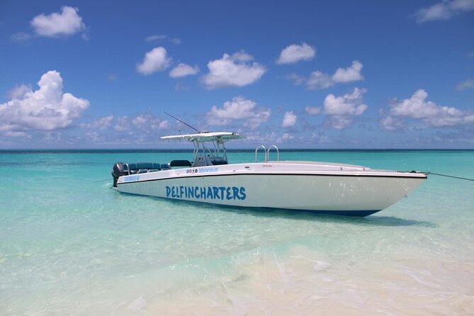 Nassau: Swimming Pigs And Snorkel With Turtles - What the boat ride feels like