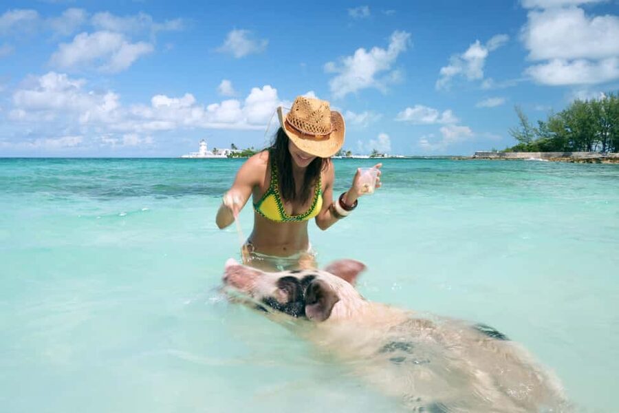 Nassau: Swimming Pigs, Snorkeling, Lunch, & Beach Boat Tour - Key points to know before you book