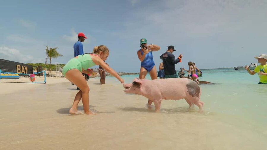 Nassau: Swimming Pigs, Snorkeling, Lunch, & Beach Boat Tour - Who will enjoy this Nassau boat tour
