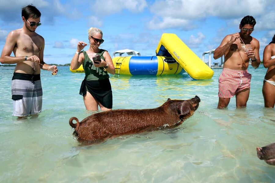 Nassau: Swimming Pigs, Snorkeling, Lunch, & Beach Boat Tour - The Nassau departure and speedboat views