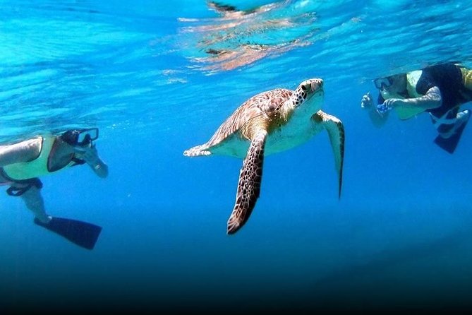 National Park Snorkeling Excursion - Two snorkel sites, one easy half-day