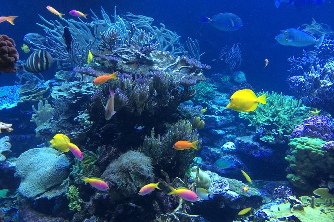 National Park Snorkeling Excursion - Who should book this outing?
