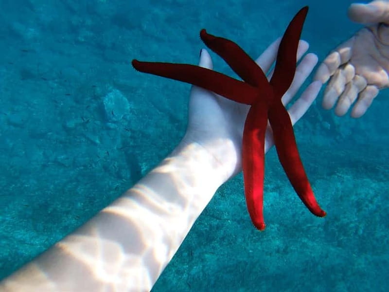 Naxos: Taormina Boat Tour with Snorkeling and Prosecco - Grotta dell’Amore and the coastal caves