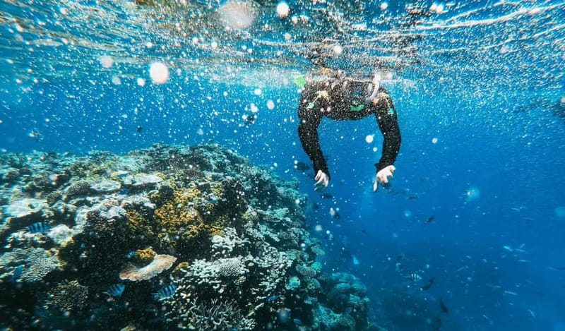 Naxos: Taormina Boat Tour with Snorkeling and Prosecco - How the $53 price holds up