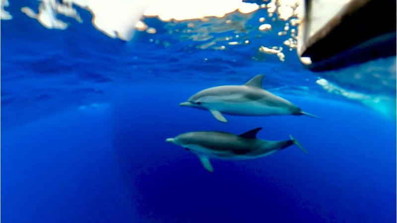 Naxos: Taormina Boat Tour with Snorkeling and Prosecco - Should you book it?