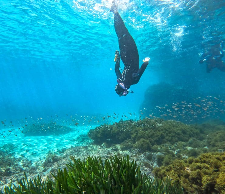 Nerja-Maro: Snorkeling & Sea Scooter Speedboat Trip - Photos and videos from the water
