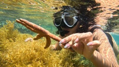 Nha Trang: Half-Day Snorkeling Adventure with BBQ Onboard