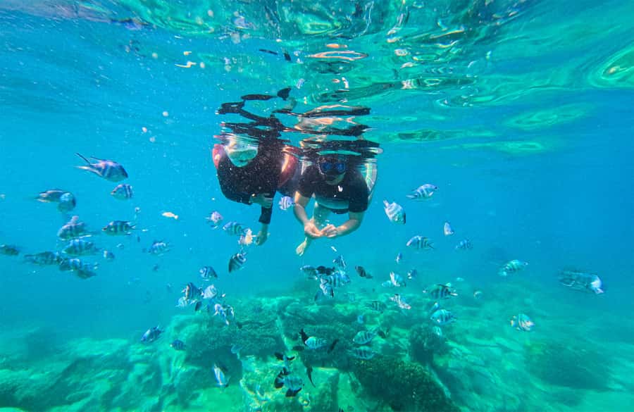 Nha Trang: Half-Day Snorkeling Adventure with BBQ Onboard - Snorkeling quality, safety, and changing conditions