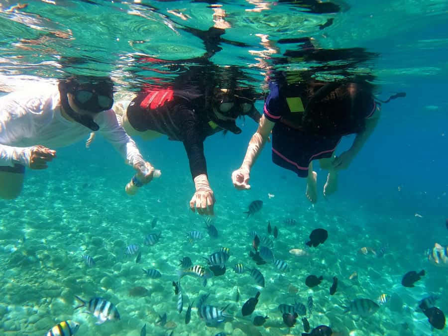 Nha Trang Half Day Snorkeling Trip - How the group size affects value