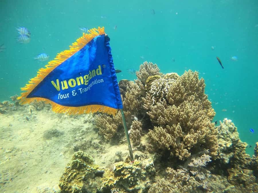 Nha Trang Half Day Snorkeling Trip - What to bring for a smoother morning