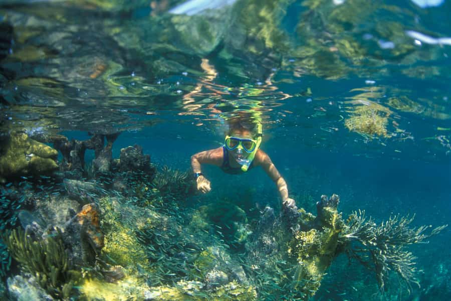 Nha Trang: Snorkeling Tour with BBQ Lunch at Coral Reef - The first coral reef stop