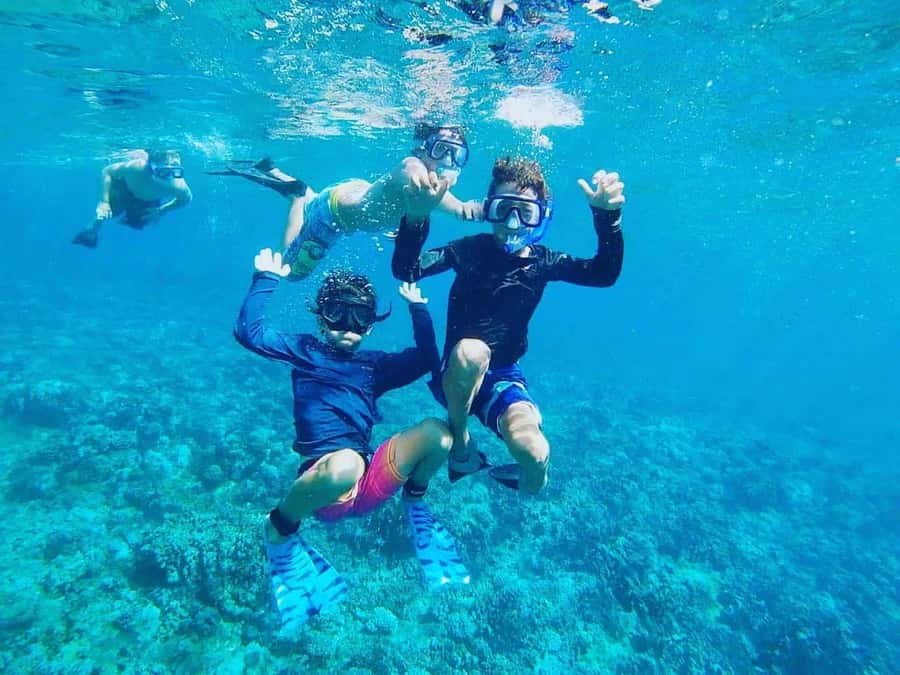 Nha Trang: Snorkeling Tour with BBQ Lunch at Coral Reef - A 7:00 AM pickup and an easy start