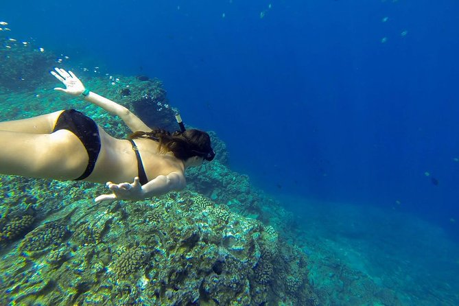 Ni'ihau and Na Pali Coast Snorkel Boat Tour - What happens when the weather changes