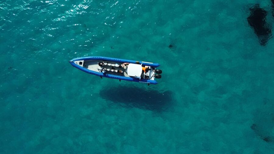 Nice: Lerins Islands Boat Tour with Snorkeling - Key points to know before you book