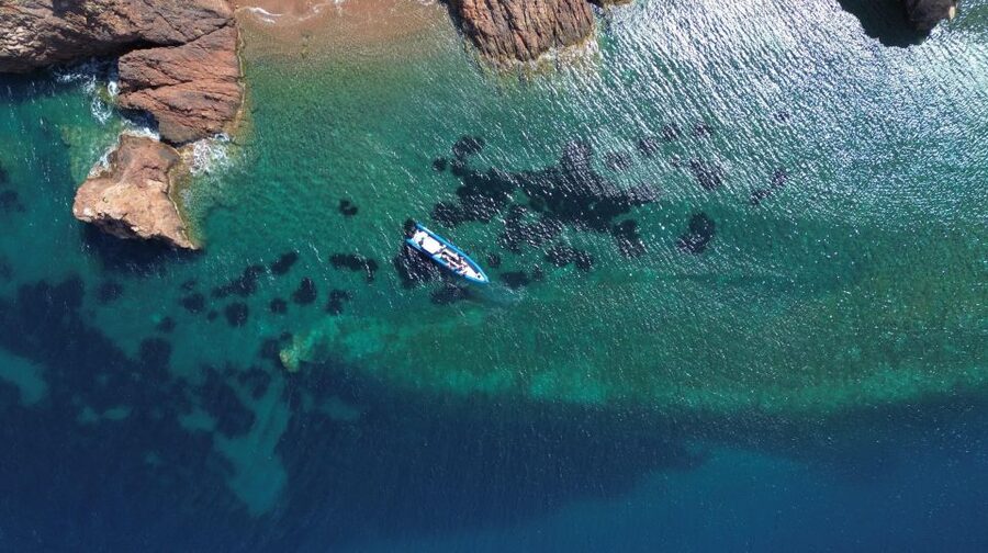 Nice: Lerins Islands Boat Tour with Snorkeling - Snorkeling at the underwater sculpture site