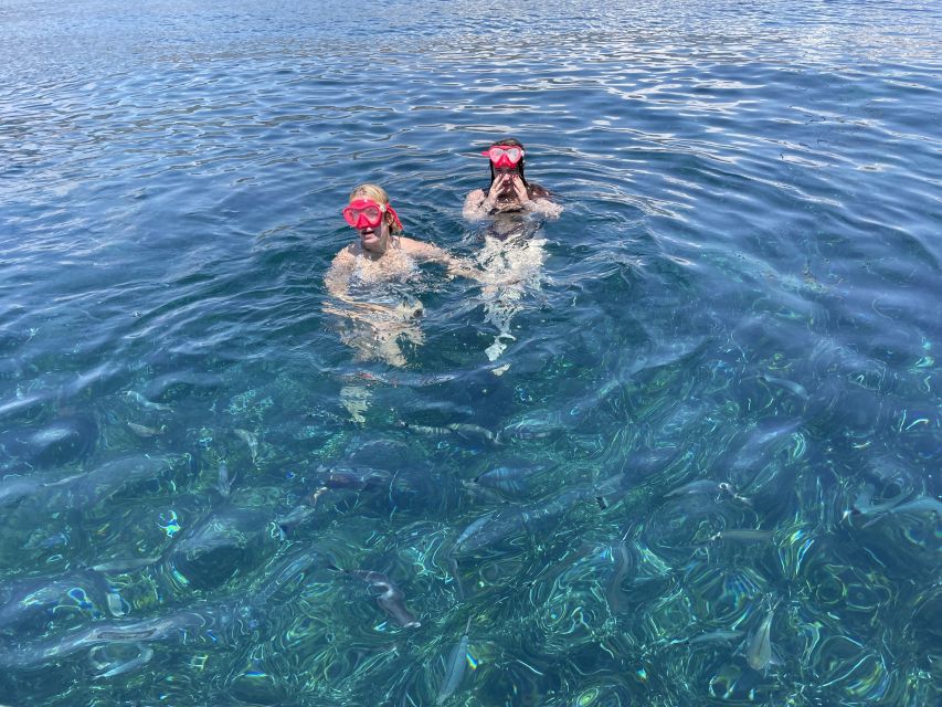 Nice: Monaco & Mala Caves Boat Trip with Snorkeling - What the $100 price really covers