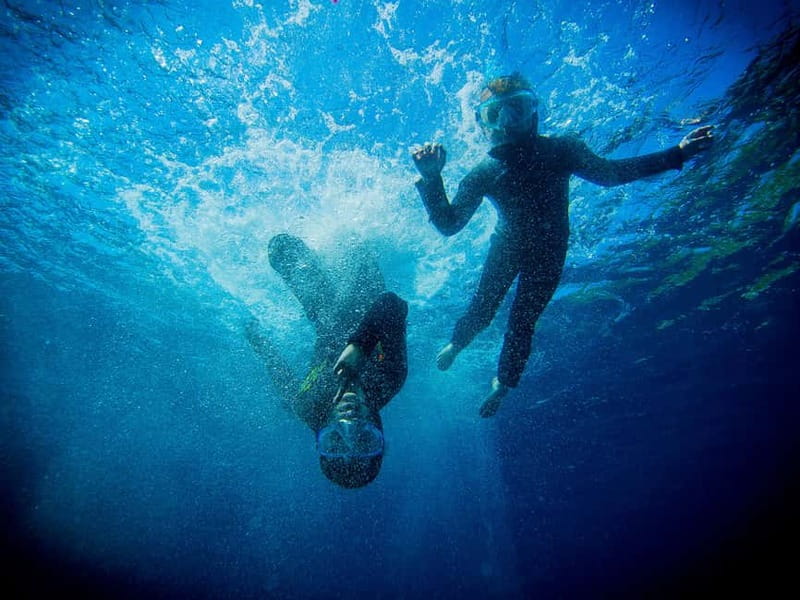 Nice: Snorkeling Speedboat Tour in Villefranche Bay - A Speedboat Shortcut from Nice to Villefranche Bay