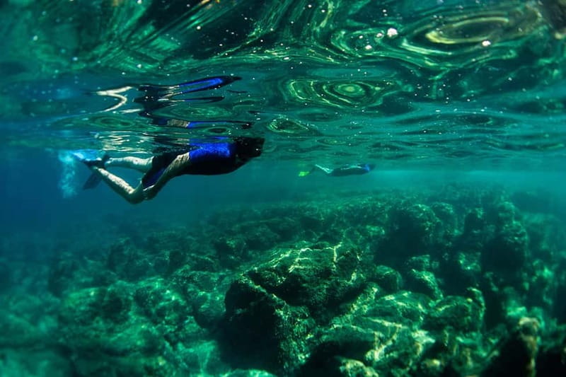 Nice: Snorkeling Speedboat Tour in Villefranche Bay - What Happens at Chango Diving