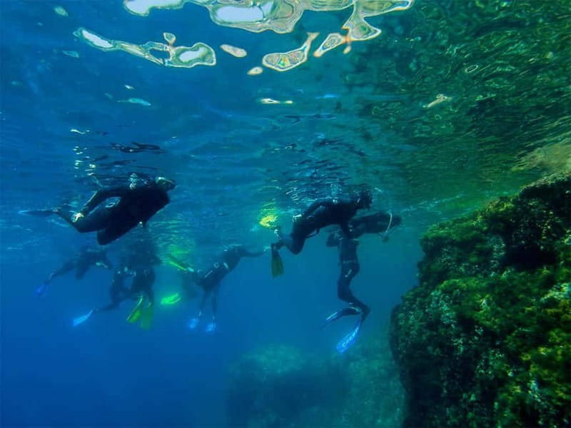 Nice: Snorkeling Speedboat Tour in Villefranche Bay - An Hour of Snorkeling in Villefranche-sur-Mer