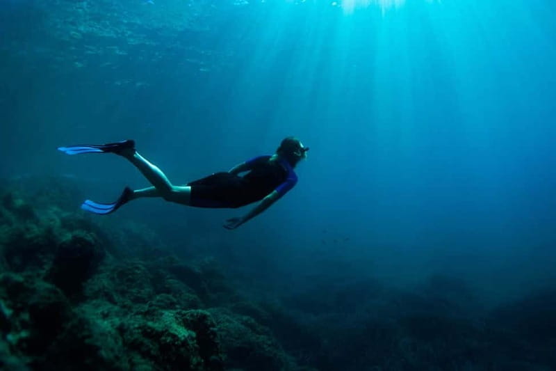 Nice: Snorkeling Speedboat Tour in Villefranche Bay - Sea Conditions, Jellyfish, and Safety