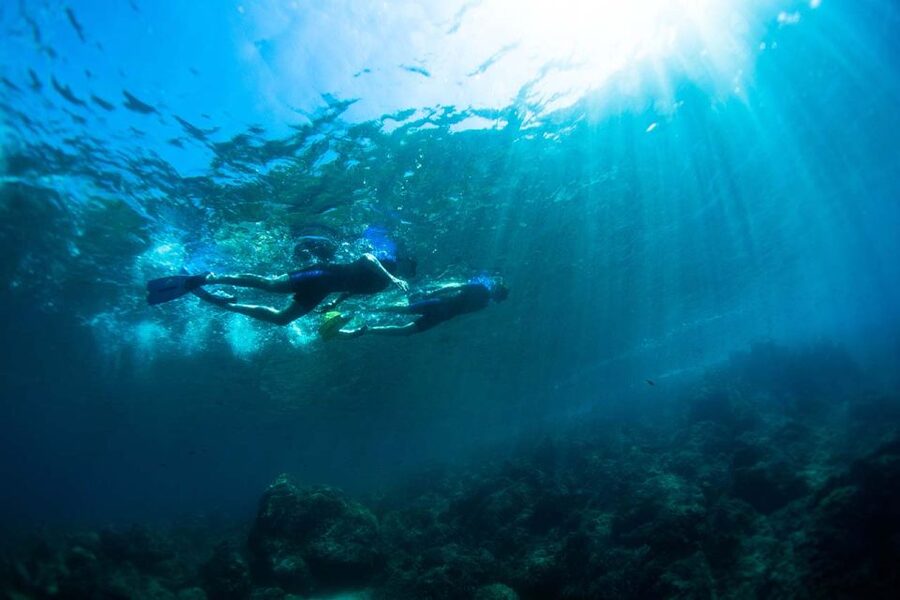 Nice: Snorkeling Speedboat Tour in Villefranche Bay - Why the Guides Matter for Beginners