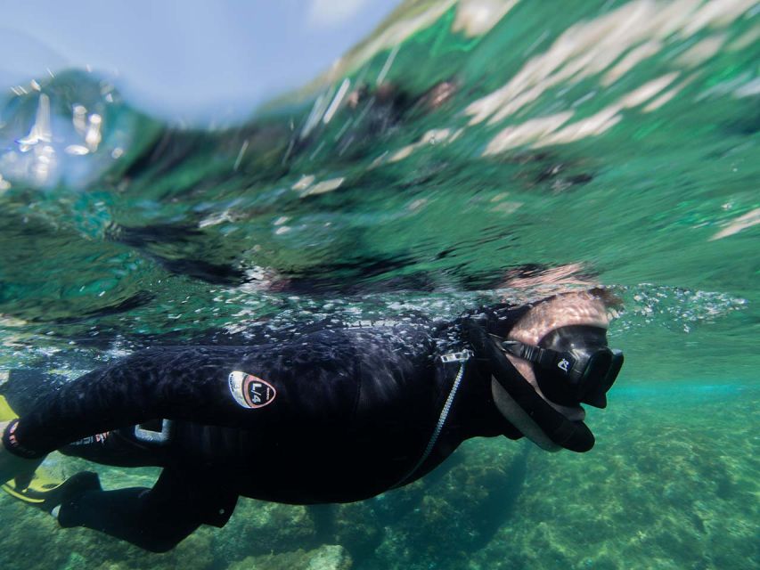Nice: Snorkeling Speedboat Tour in Villefranche Bay - Is $70 a Fair Price?