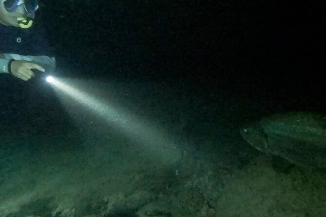 Night Snorkeling Adventure - Why Bonaire’s night water feels so different