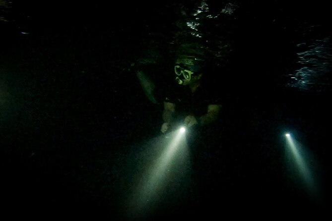 Night Snorkeling Adventure - Following the light through the night reef
