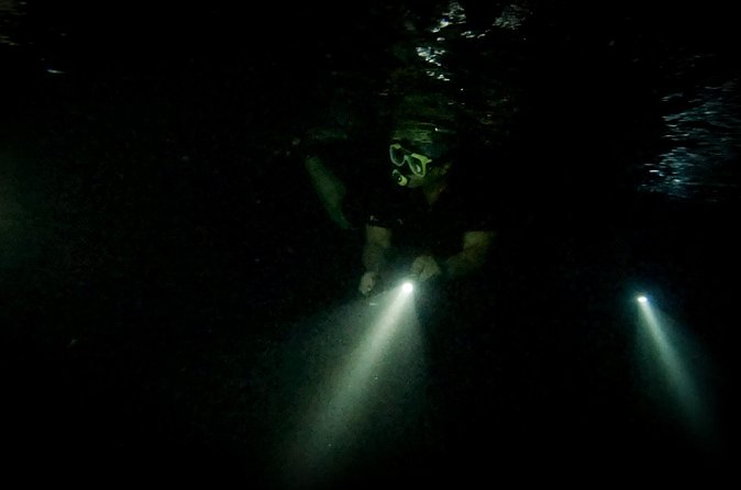 Night Snorkeling Adventure - Gear, comfort, and the practical details